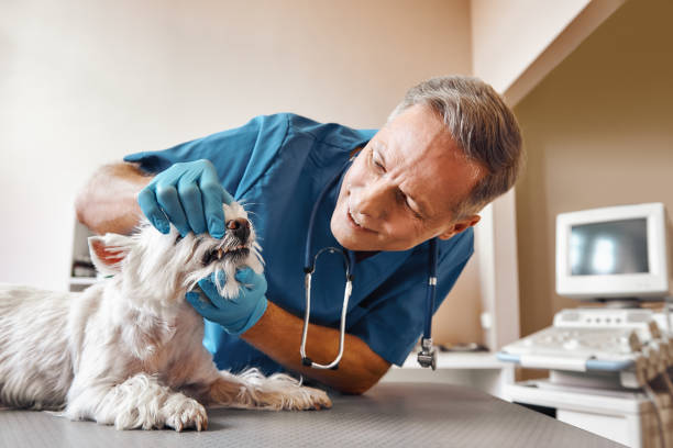 Best Emergency Root Canal Treatment in King Of Prussia, PA